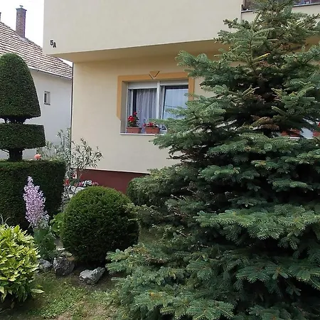 招待所 Judit Vendeghaz