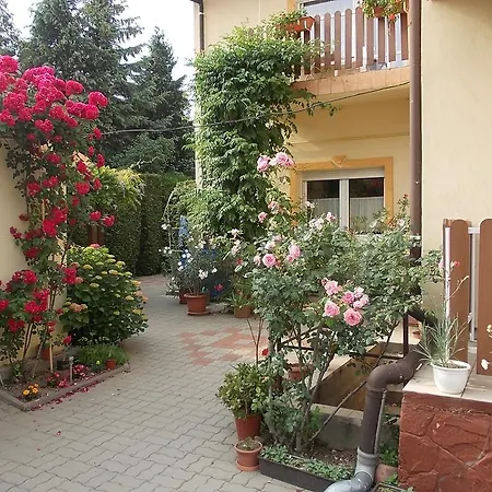 招待所 Judit Vendeghaz 3*