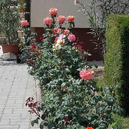 Judit Vendeghaz Guest house 3*