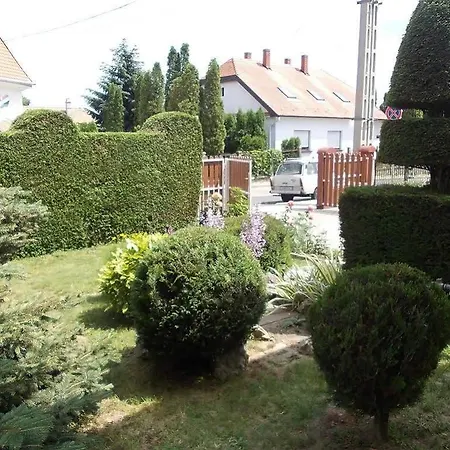 Judit Vendeghaz 招待所