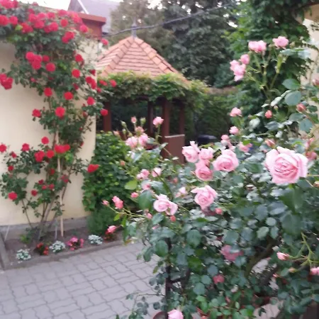 Judit Vendeghaz 招待所 Hévíz