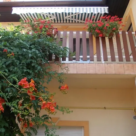 Judit Vendeghaz 招待所 3*