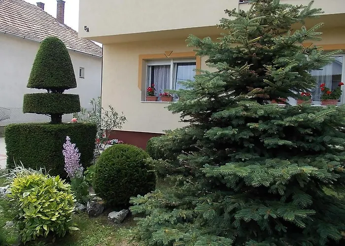 Pensjonat Judit Vendeghaz