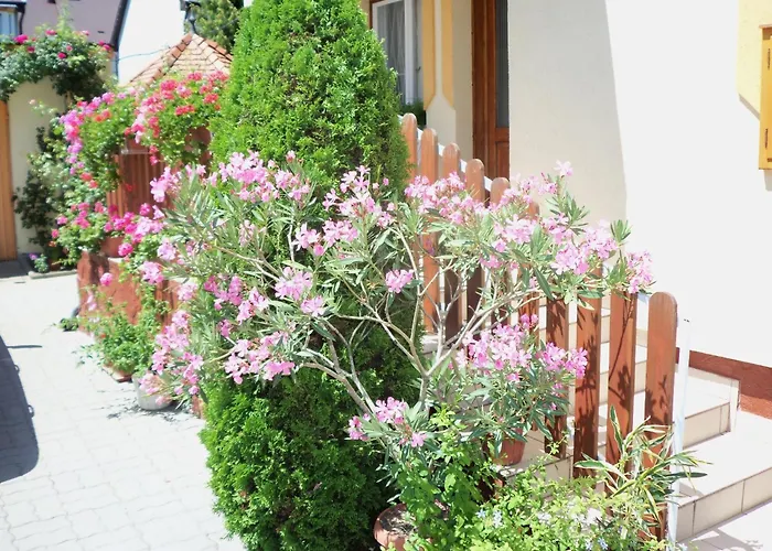 Pensjonat Judit Vendeghaz Héviz