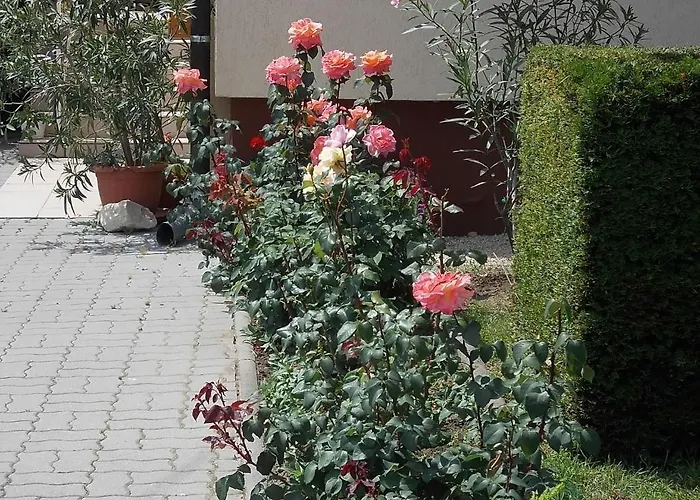 Judit Vendeghaz Pensjonat 3*