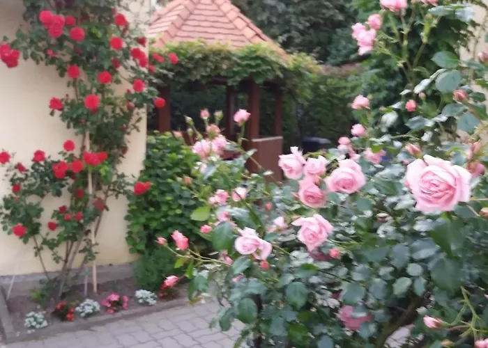 Judit Vendeghaz Guest house Heviz