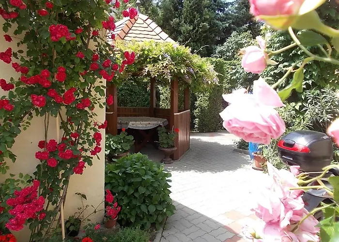 Judit Vendeghaz Héviz